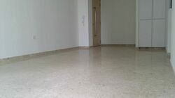 The Luxurie (D19), Condominium #321762721